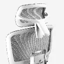 white5.webp