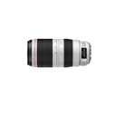 Canon EF 100-400mm f4.5-5.6 L IS II USM Lens