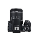 Canon EOS 250D Kit (EF-S 18-55mm DC III) (Black)