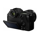 Panasonic Lumix DC-S1 (Black)