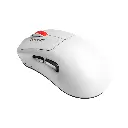 5.webp