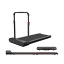 Walkingpad R1 Pro Special Edition Foldable Treadmill