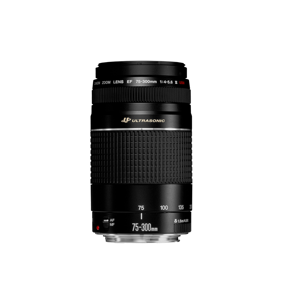 Canon EF 75-300mm f/4-5.6 III Lens